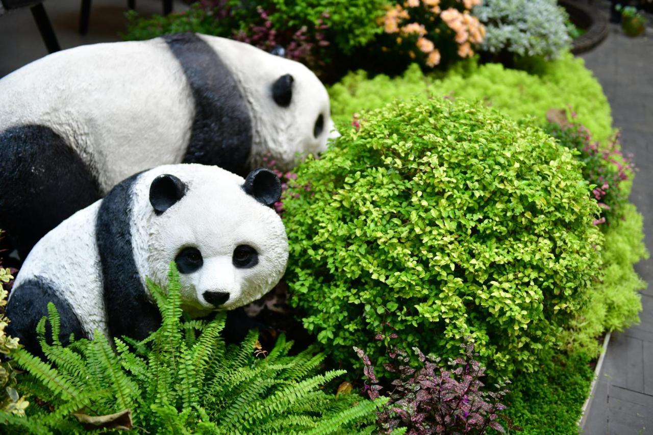 Xishu Garden Inn - Travel Agency Service - Car Rent Service - English Speaking เฉิงตู ภายนอก รูปภาพ